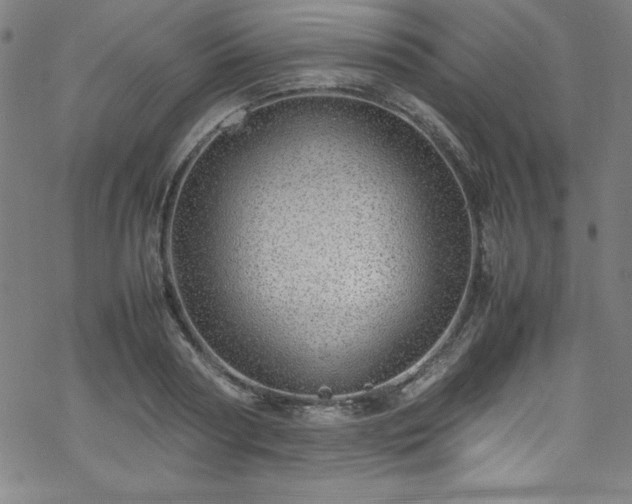 X0000070190794200606021056