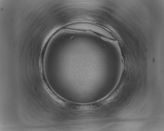 X0000070190796200606021056