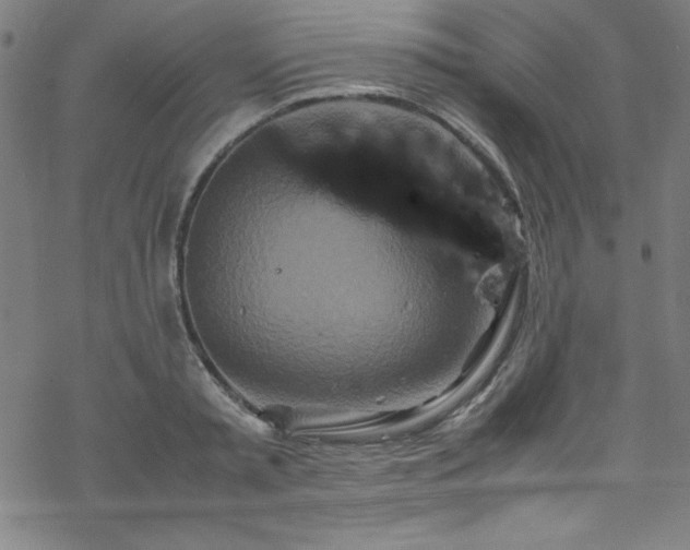 X0000070190797200606021056