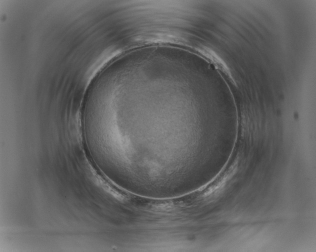 X0000070190798200606021056