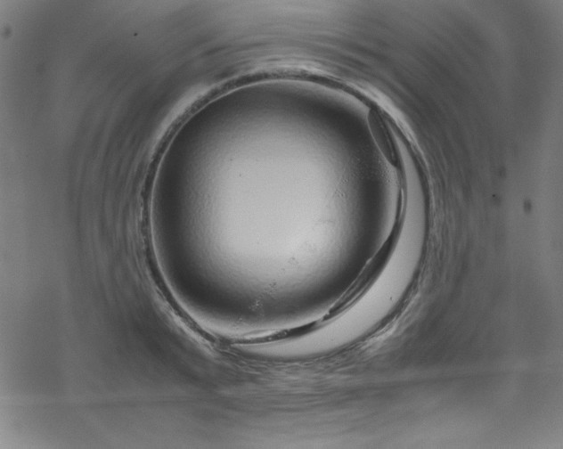 X0000070190799200606021056