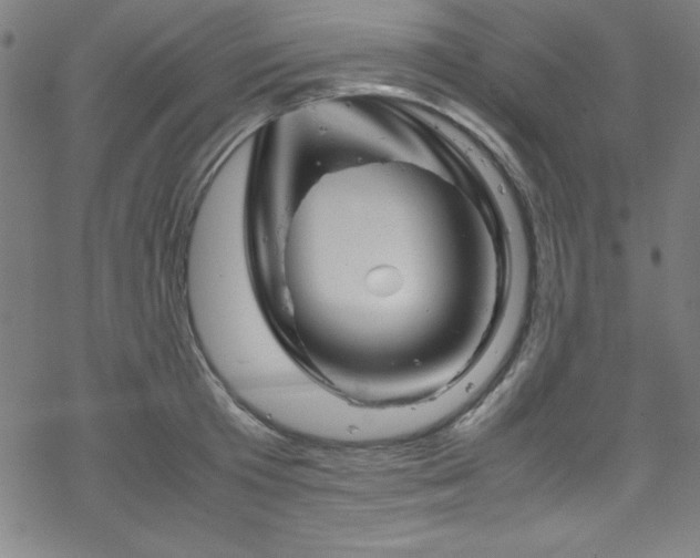 X0000070190801200606021056