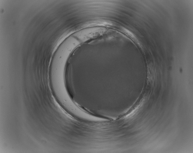 X0000070190802200606021056