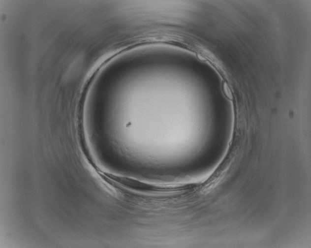 X0000070190803200606021056