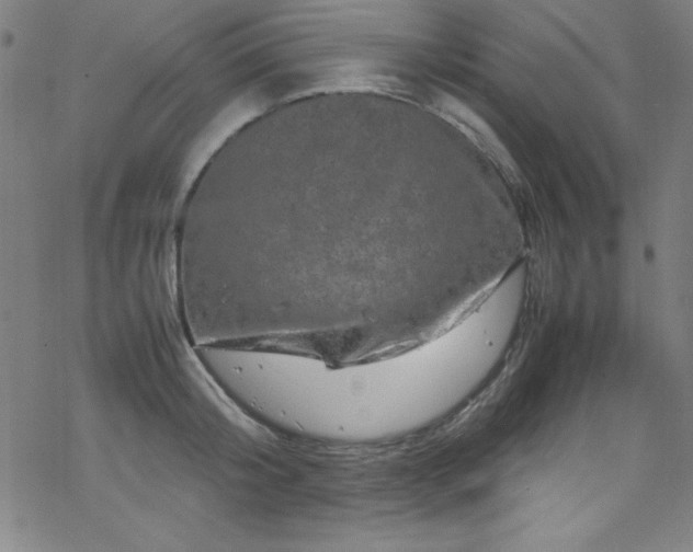 X0000070190804200606021056