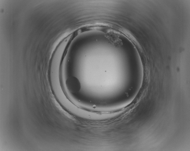 X0000070190805200606021056