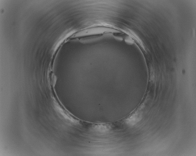 X0000070190806200606021056