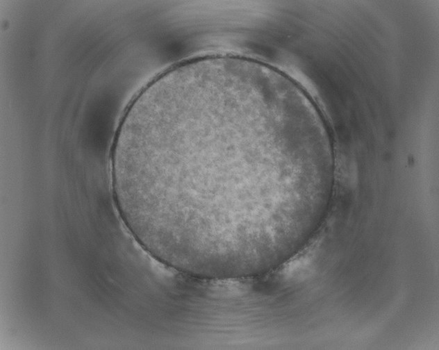 X0000070190807200606021056