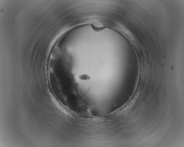 X0000070190808200606021056