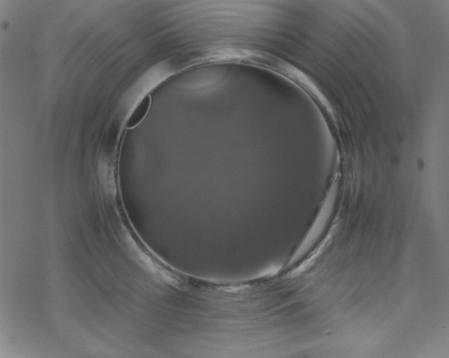 X0000070190810200606021056