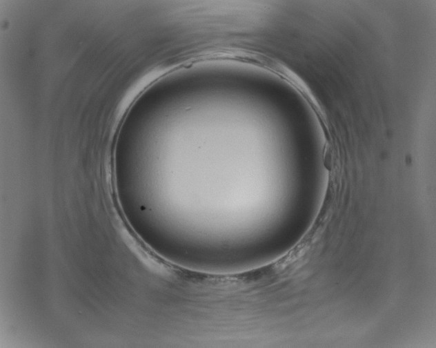 X0000070190811200606021056