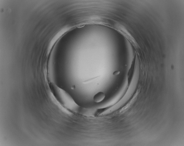 X0000070190812200606021056