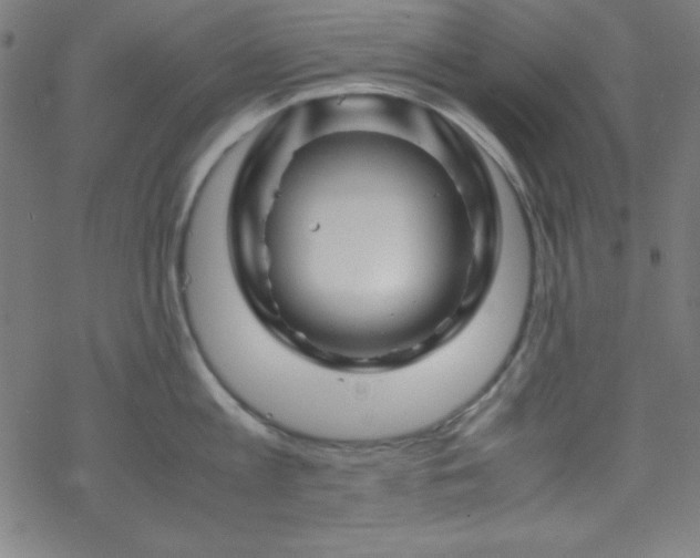 X0000070190813200606021056