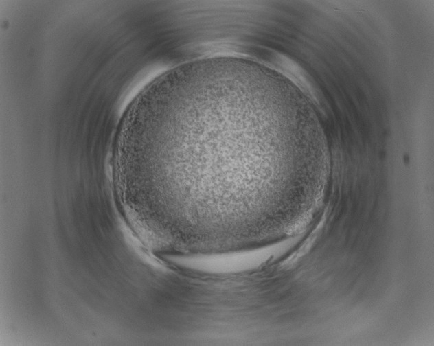 X0000070190814200606021056