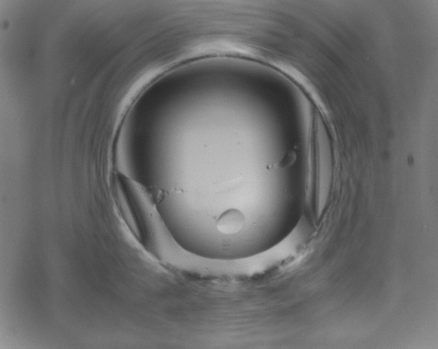 X0000070190815200606021056