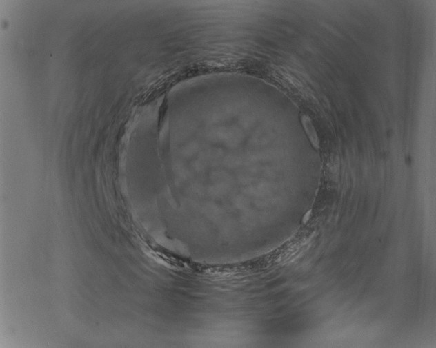 X0000070190817200606021055