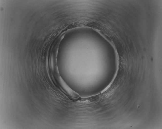 X0000070190818200606021055