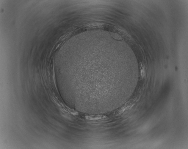 X0000070190819200606021055