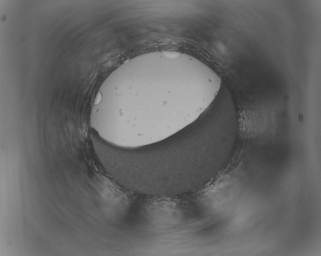 X0000070190820200606021055