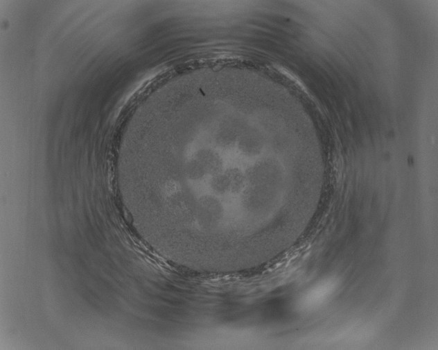 X0000070190823200606021055