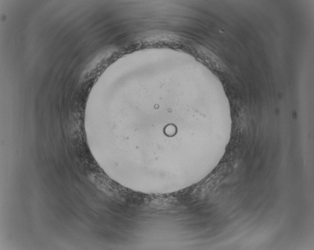 X0000070190824200606021055