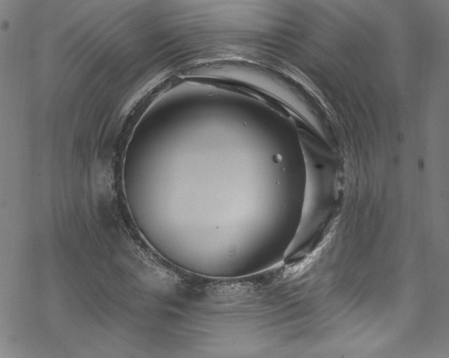 X0000070190826200606021055