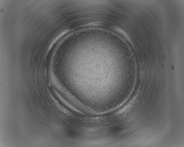 X0000070190827200606021055