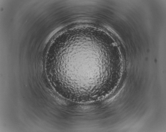 X0000070190829200606021055