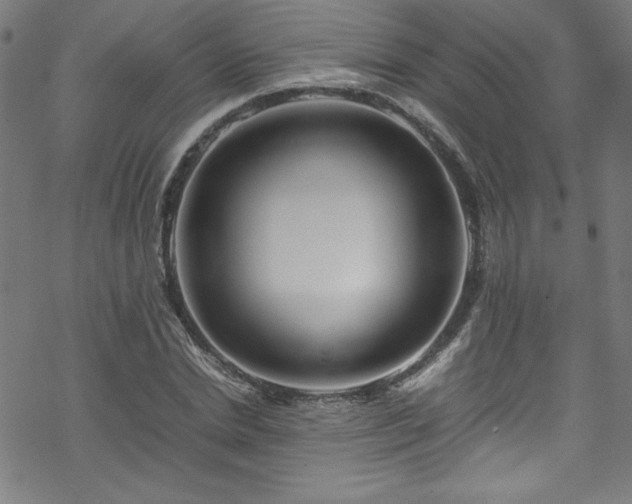 X0000070190830200606021055