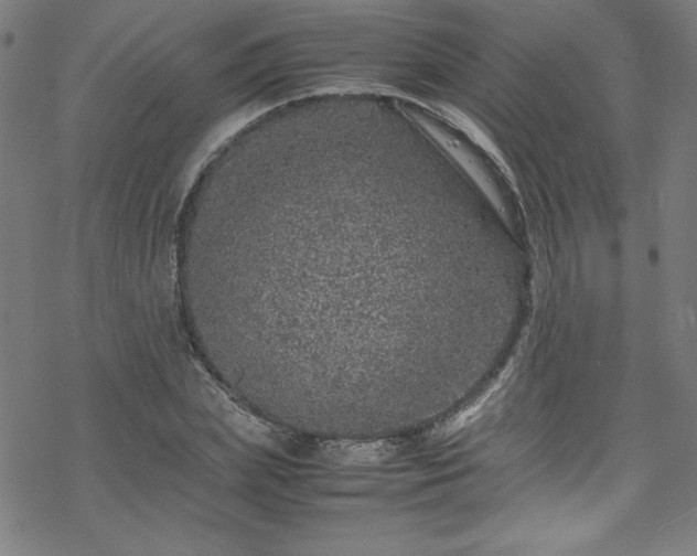 X0000070190831200606021055