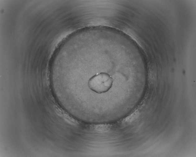 X0000070190832200606021055