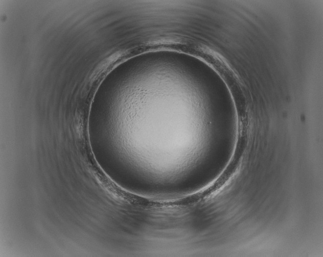 X0000070190833200606021055