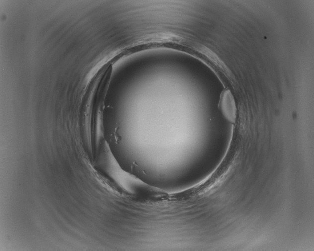 X0000070190834200606021055