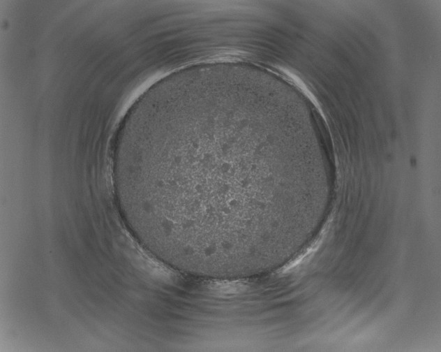 X0000070190835200606021055