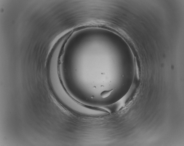 X0000070190838200606021055