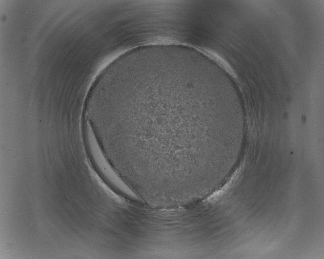 X0000070190839200606021055