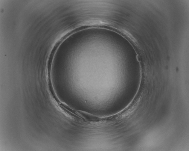 X0000070190840200606021055