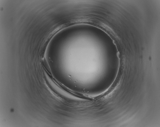 X0000070190841200606021055