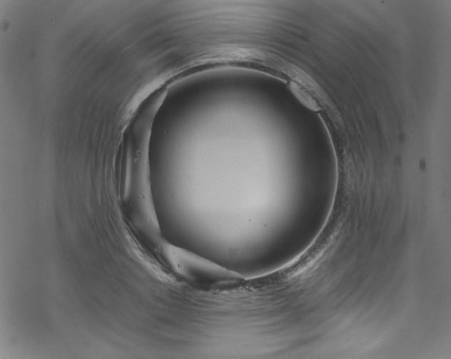 X0000070190842200606021055