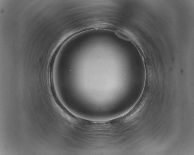 X0000070190843200606021055