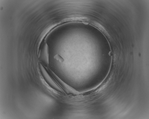 X0000070190844200606021055