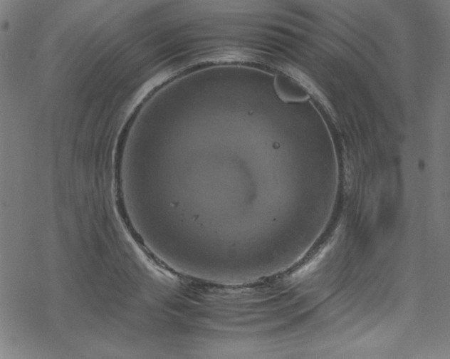 X0000070190845200606021055