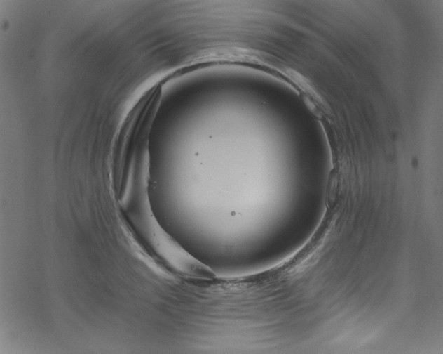 X0000070190846200606021055