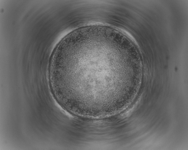 X0000070190847200606021055