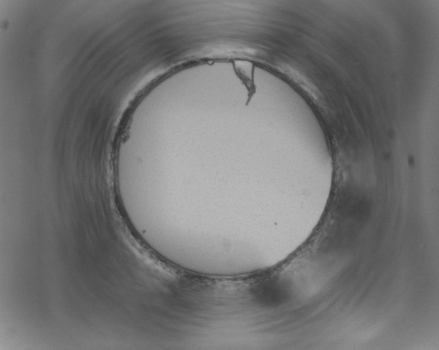 X0000070190848200606021055