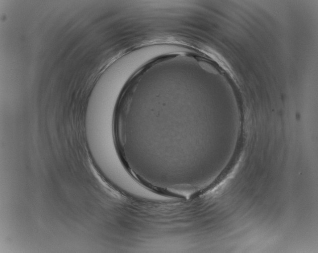 X0000070190849200606021055