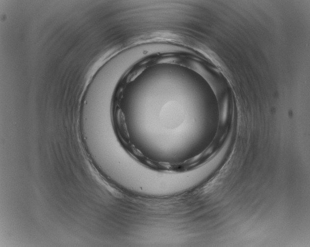 X0000070190850200606021055