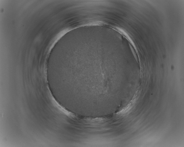 X0000070190851200606021055