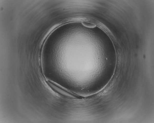 X0000070190852200606021055