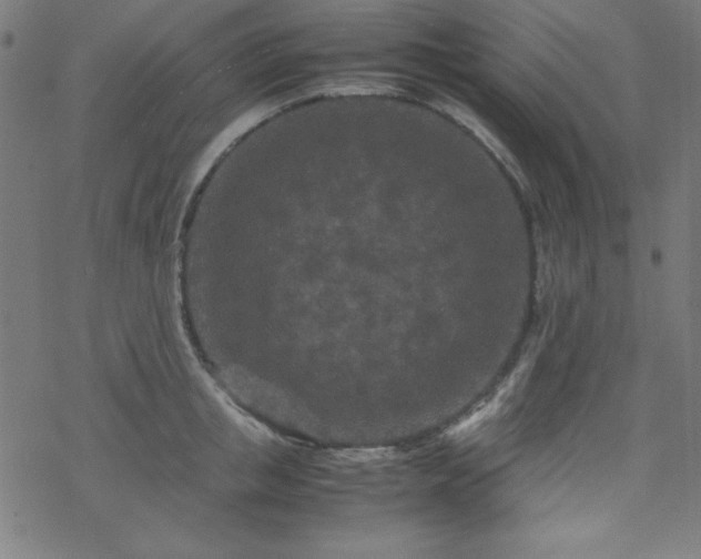 X0000070190853200606021055